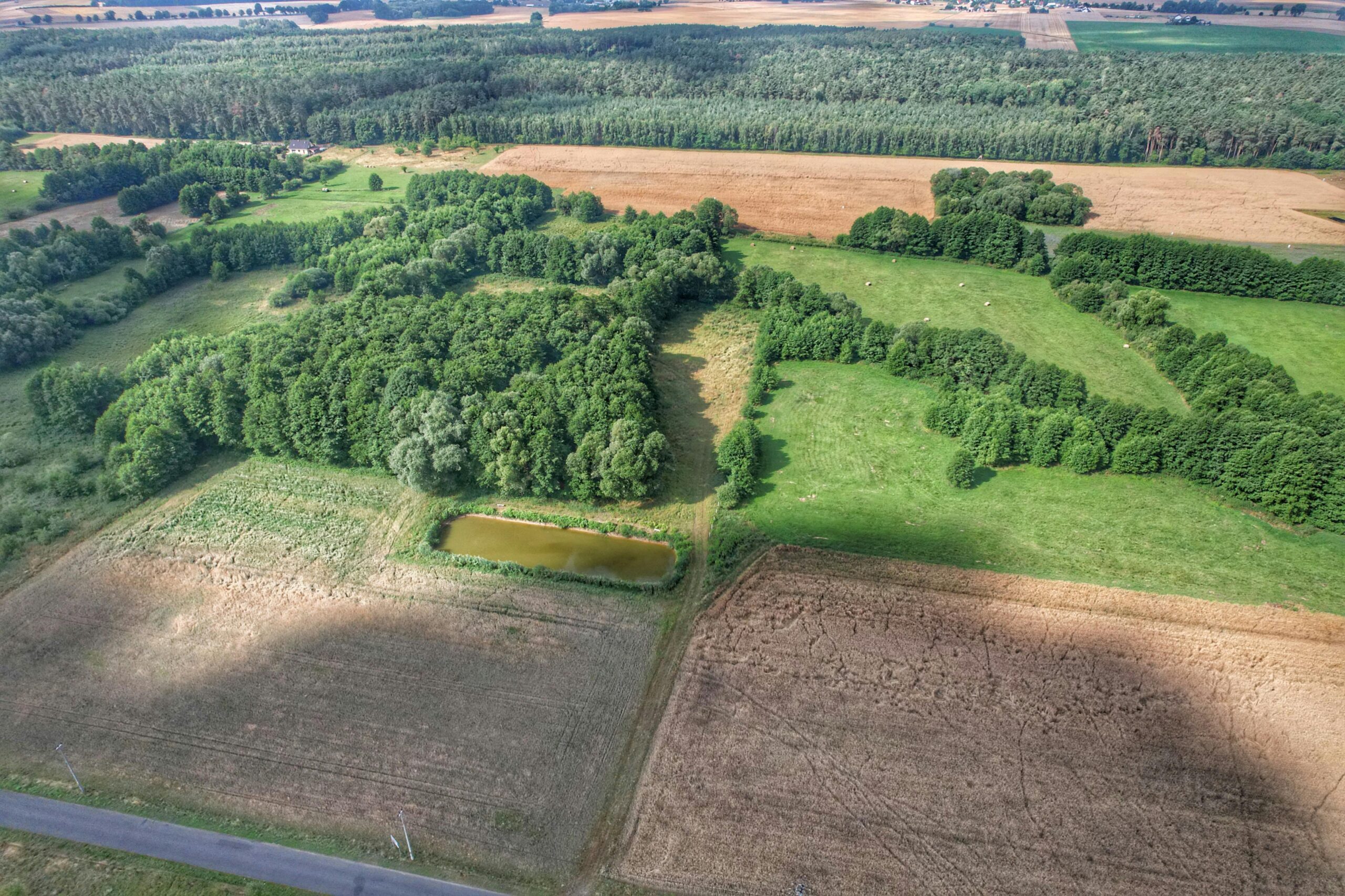 Drone shot capturing the picturesque rural fields and forests.