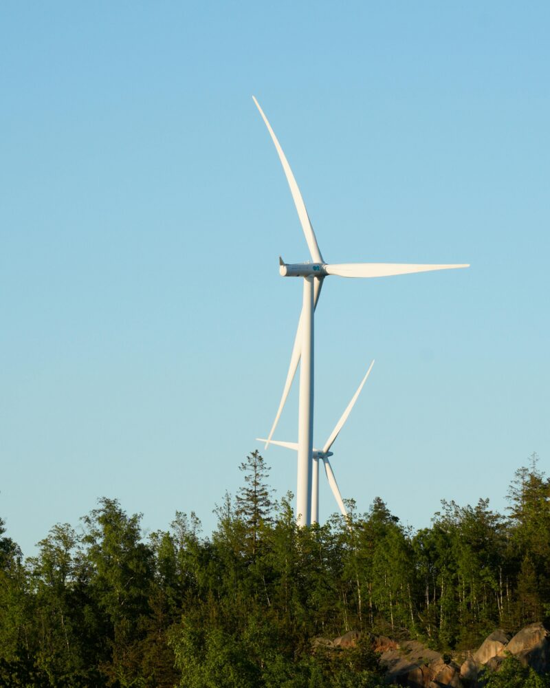 Two wind turbines towering over lush green trees under a clear blue sky.